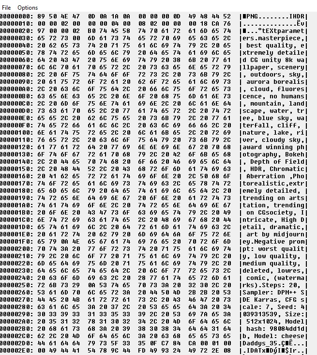 hexadecimal editor of irfanview with a picture created by
stable diffusion