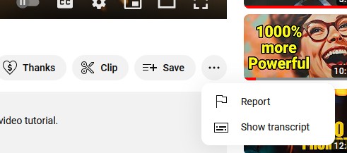 screenshot of the option that allows to see the transcript of a youtube video